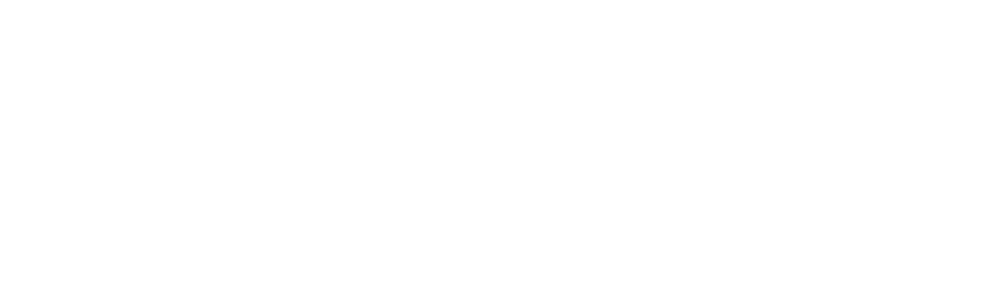 Logo Dahua